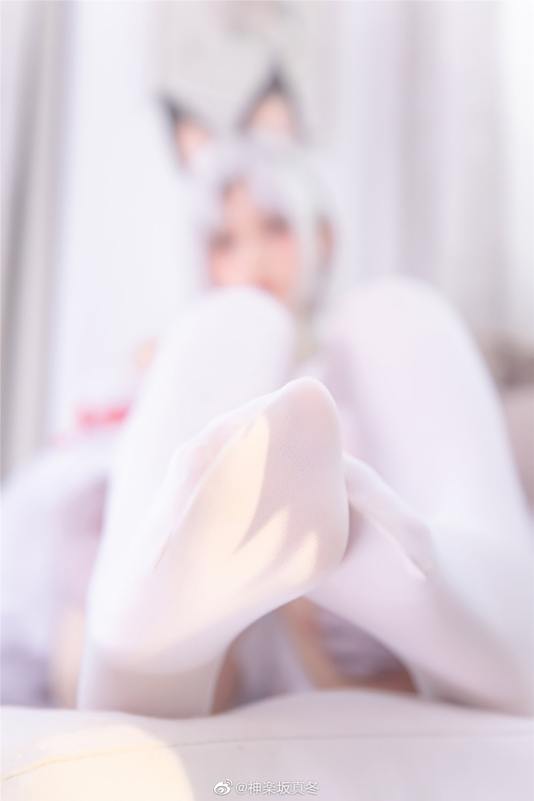 《77游戏社第3400期》胡桃白萝莉