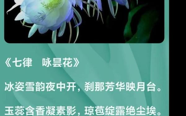 忧昙花(昙花的诗词)