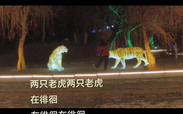 两只老虎定档_两只老虎演员表
