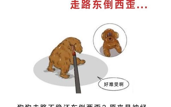 为什么闭上眼睛走路会东倒西歪 闭眼走路为什么会歪