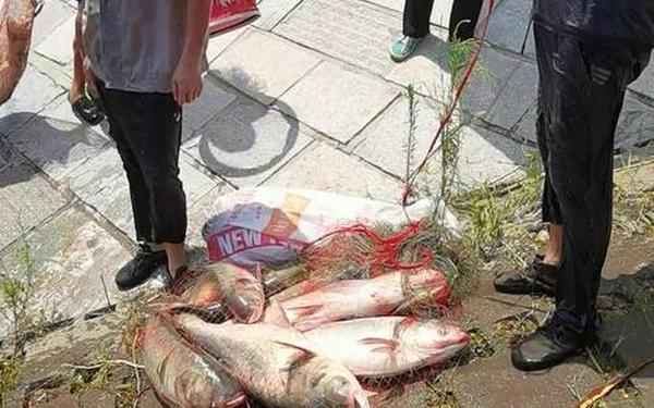 可下分的捕鱼-打鱼现金可上下分