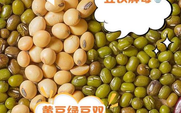 绿豆不能像黄豆一样打出豆浆原因—绿豆不能打豆浆原因