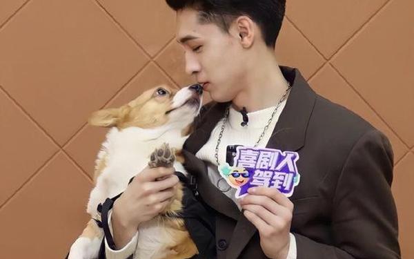 q小弟,小弟比喻什么男人