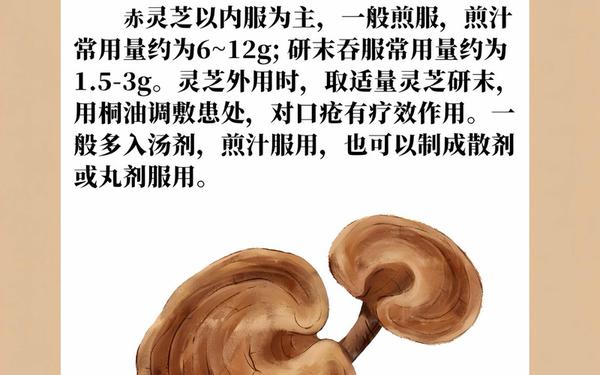 小说中千年灵芝能起死回生_十大顶级稀有灵芝