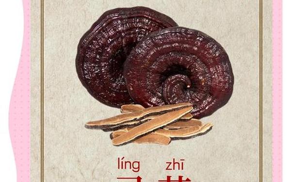 小说中千年灵芝能起死回生_十大顶级稀有灵芝