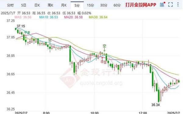 网金2_白银金投网
