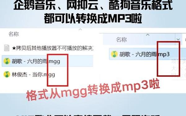 qq免费播放器,QQ播放器下载安装