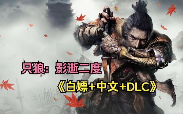 只狼 影逝二度(只狼下载安装免费)