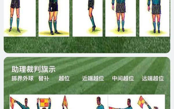 足球主裁判可以把自己罚下场吗 足球国家二级裁判员