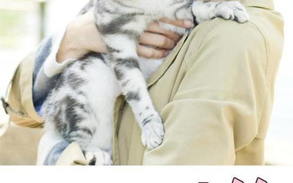 咕咕是一只猫(咕咕是一只猫免费观看)