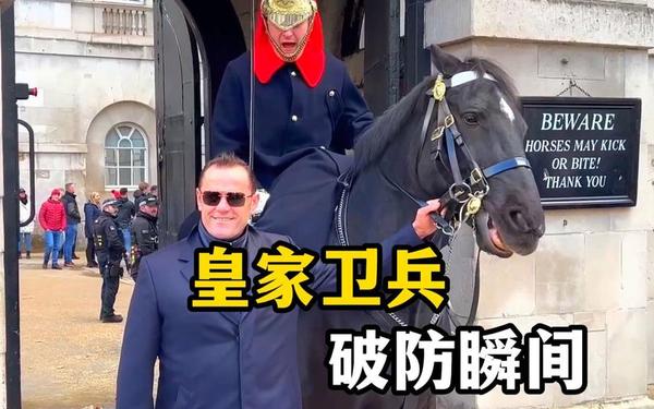皇家卫士_皇家卫士下载