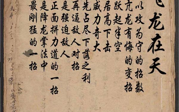 侠客风云传 降龙十八掌(侠客风云传十大最强武功)