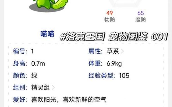 萌喵橘座测评,洛克王国喵喵性格