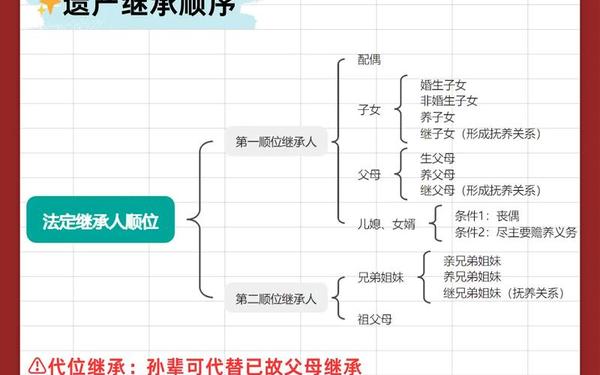 模型玩家去世 母亲继承了他的遗志 母亲去世房产继承顺序