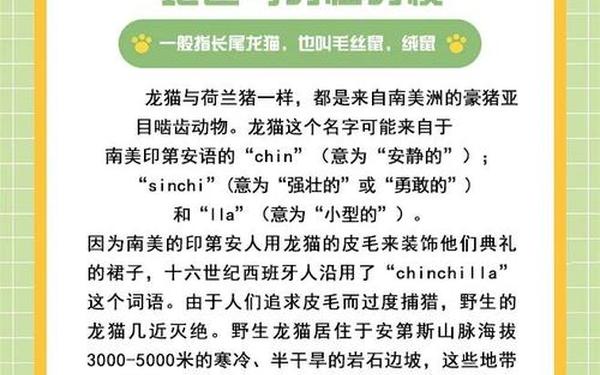 龙猫是猫吗蚂蚁庄园,龙猫是哪个国家的动物