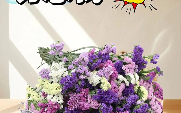 勿忘我好玩吗_勿忘我 英文