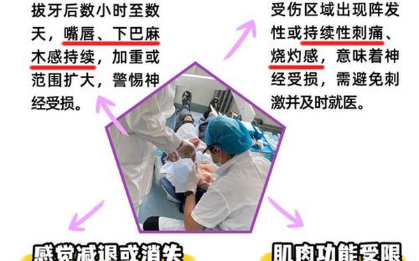 男子吃冻土豆后拔牙-拔牙后能吃土豆吗
