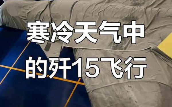 寒冷天气飞行-寒冷天气飞行在哪学