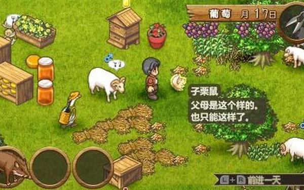 欢迎来到绵羊村 攻略 欢迎来到绵羊村怎么扩大