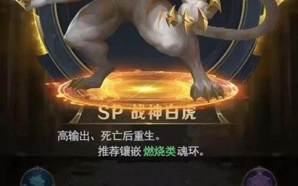 武魂学什么生活技能(斗罗大陆武魂技能大全)