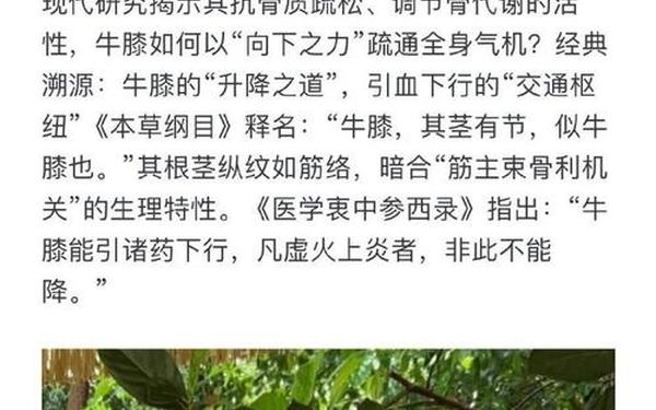 想不想修真怎么开药田—想不想修真废弃药田怎么没了