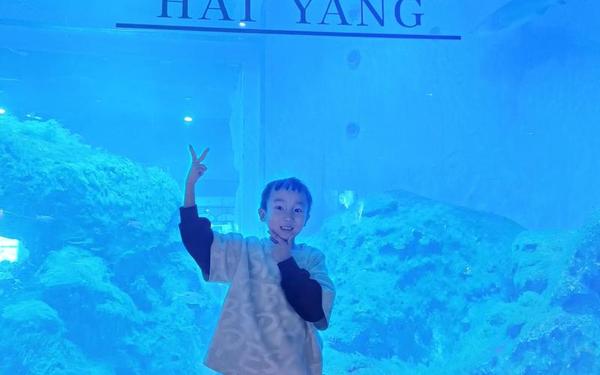 小伙在自家厕所里建海洋馆(中国海洋馆)
