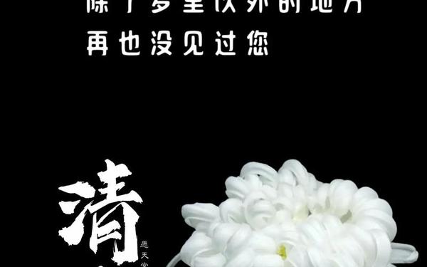 4月2日是什么日 2月4日的节日