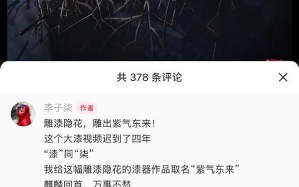 李子柒斥300余账号恶意侵权,李子柒视频拍摄者