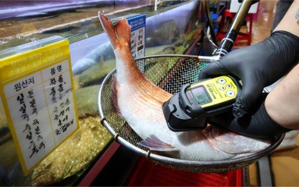 日本近海出现密密麻麻鱼类尸体(日本核废水鱼变异照片)