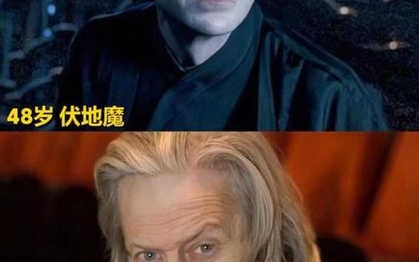 尽管教授掌握了数不胜数的魔咒-霍格沃茨的教授有哪些