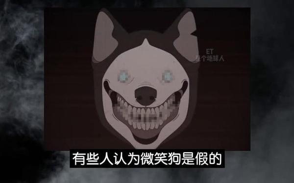 狗头吧,人面犬VS微笑狗
