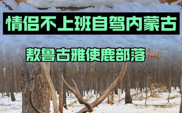 解救驯鹿梅森-驯鹿梅森任务怎么做
