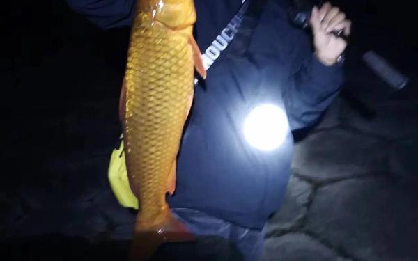 野人海岸蓝色叉牙鱼-蓝色叉牙鱼要鱼点钓吗