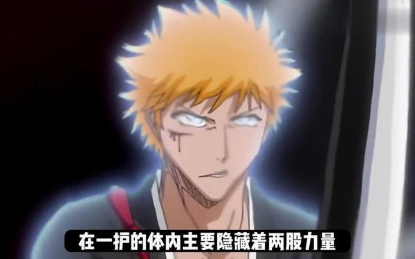 白一护—白一护和斩月大叔