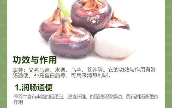 马蹄其实是马的什么-马蹄有什么风水讲究