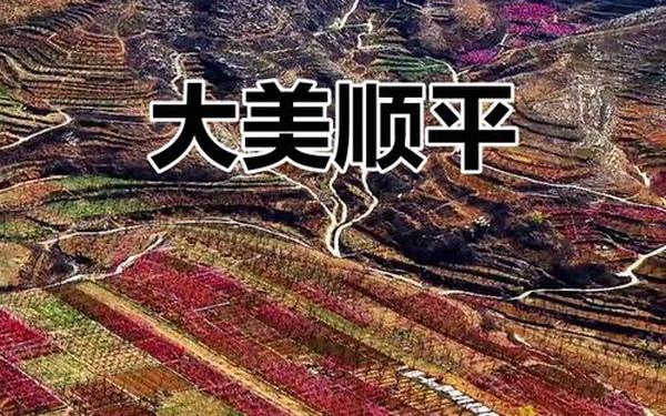 顺平吧 顺平在线