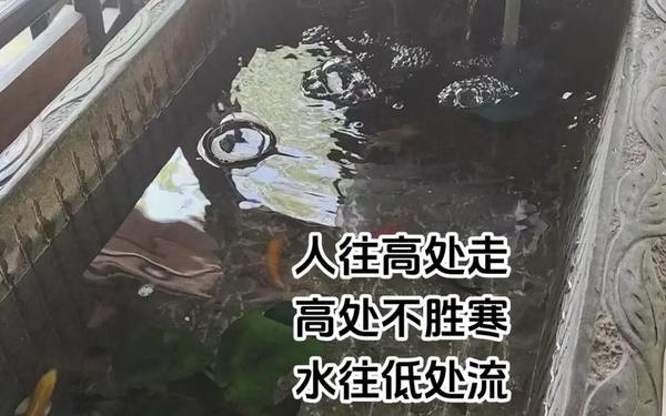 俗话说人往高处走水往低处流蚂蚁—人往高处走水往低处流是什么原理