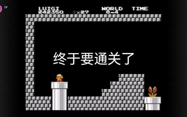 史上最难马里奥-地狱版马里奥