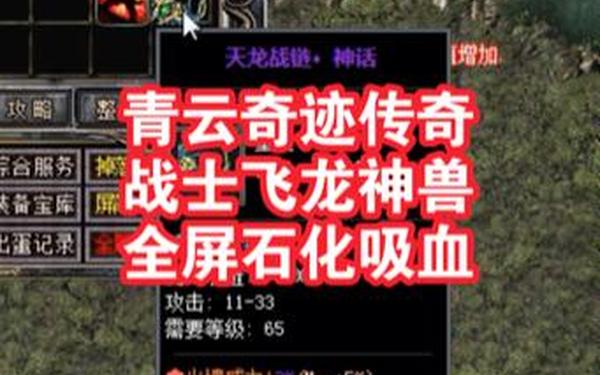 1.95神龙传奇 飞龙传奇