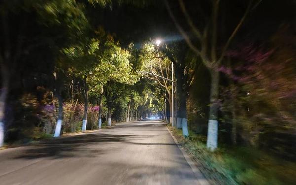 寂静岭2攻略—寂静岭2重制版流程攻略