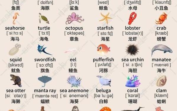 海洋生物最丰富的哪个大洋_海洋生物大全