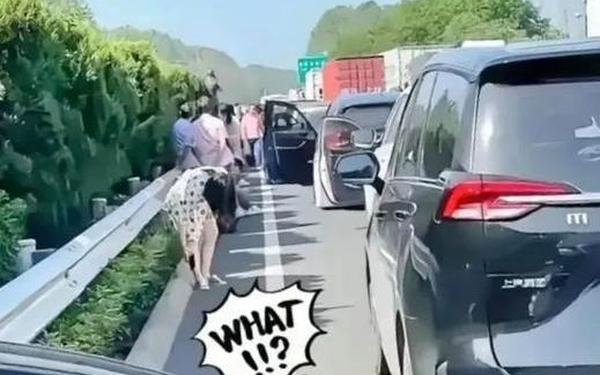 男子怒走两公里看到堵车源头(一个女人开高速300公里)