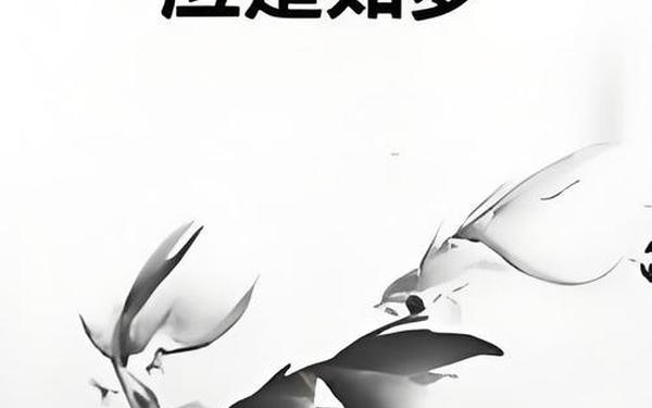如梦曾梦—亦如梦是什么意思