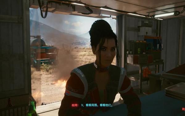 2077帕南(2077帕南和v打桩视频)