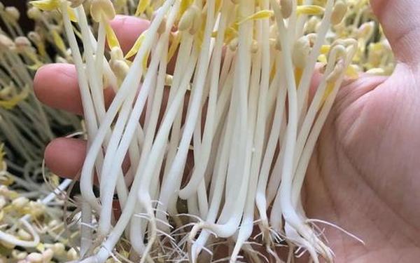 豆芽菜游戏盒_菜菜盒子下载