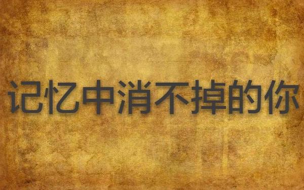 失去的记忆—失落的记忆