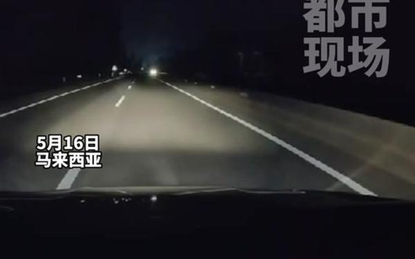 马来西亚一男子开车撞死老虎-马来西亚有野生老虎吗