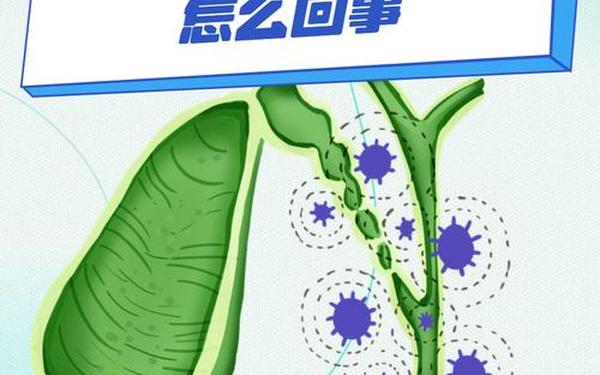 恶魔胆汁(什么是胆汁)
