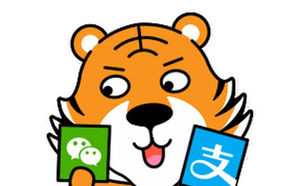 支付婊,支付微信