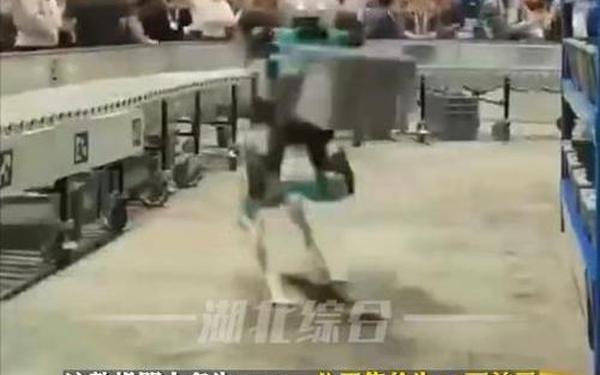 国外机器人连续工作20小时突然倒下-女性机器人售价13万